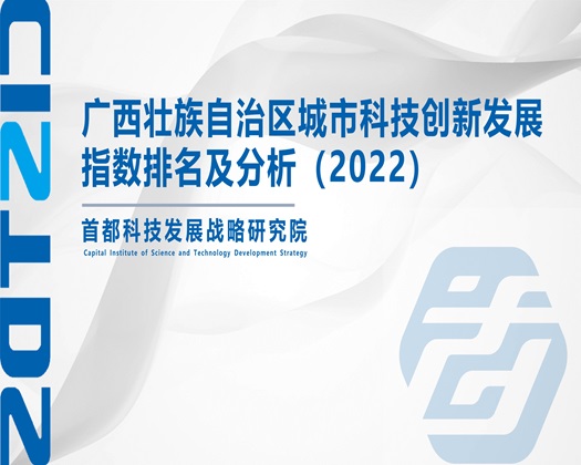 黄片操大逼【成果发布】广西壮族自治区城市科技创新发展指数排名及分析（2022）